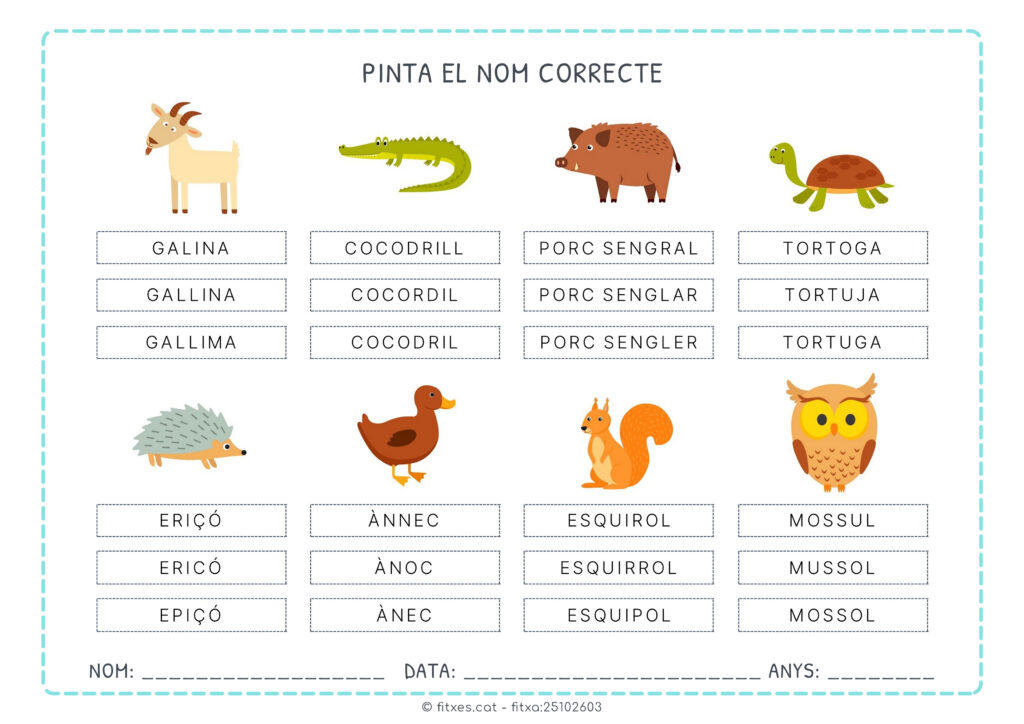 Activitat de lectura per pintar el nom correcte dels animals en català.