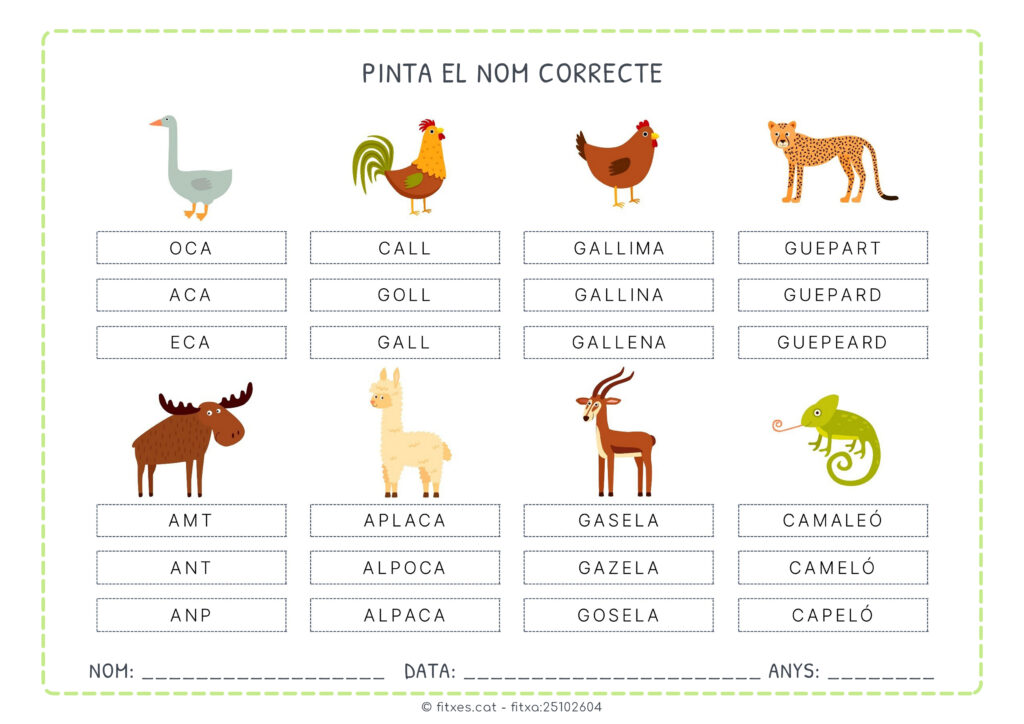 Fitxa d’exemple per reconèixer el nom correcte dels animals (1r de Primària).