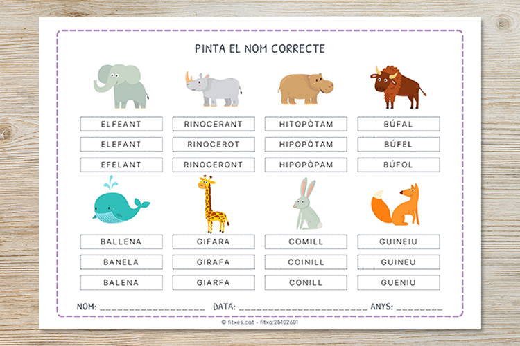 Exemple de fitxa per pintar el nom correcte dels animals (1r de Primària, en català).