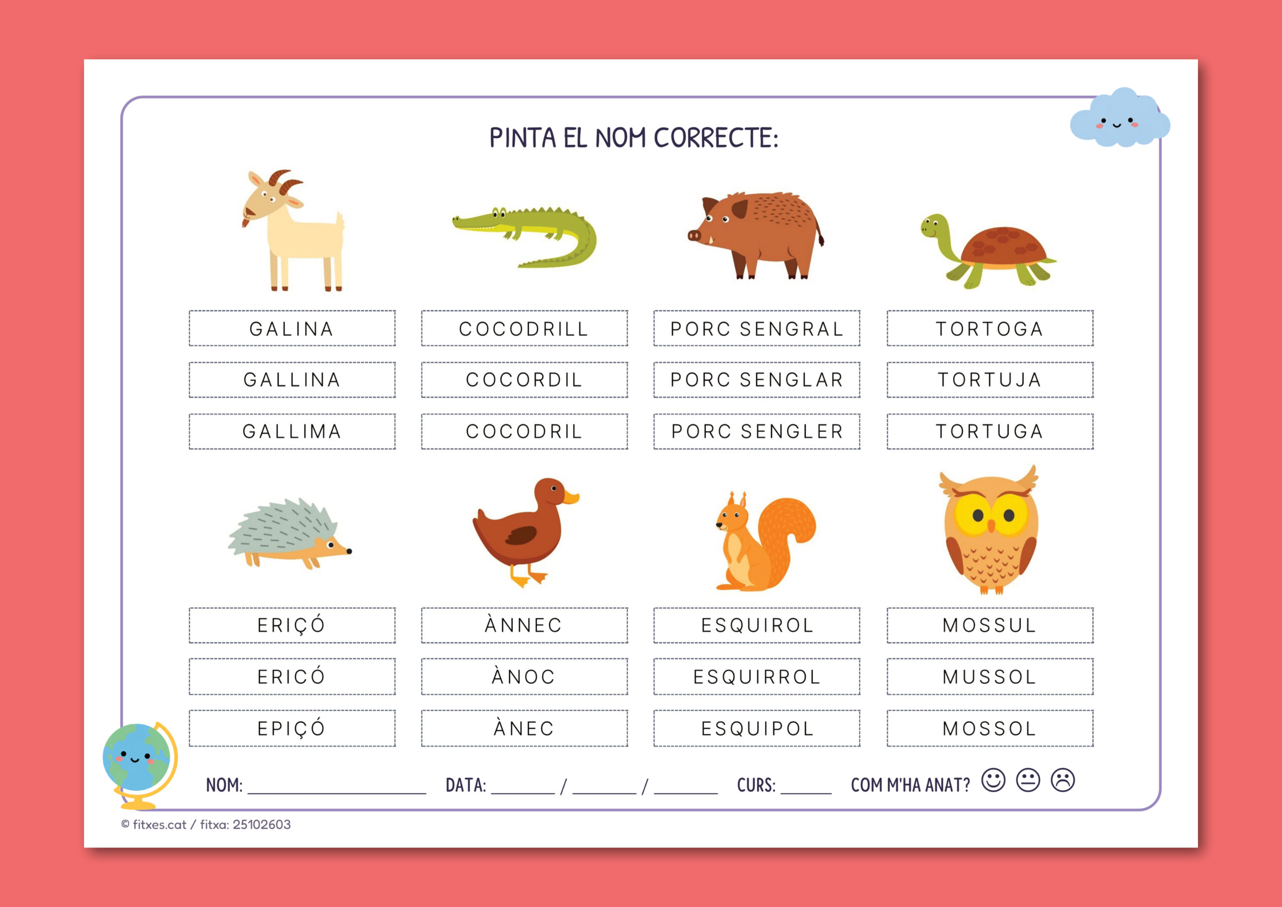 Activitat imprimible per identificar i pintar el nom correcte d'animals per a 1r i 2n de Primària.