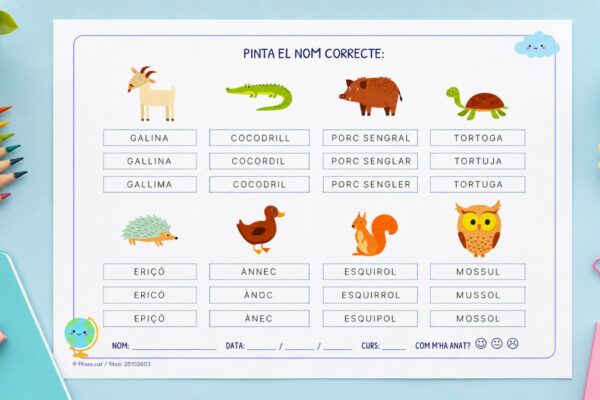 Fitxa per pintar el nom correcte d'animals per a 1r i 2n de Primària en català.