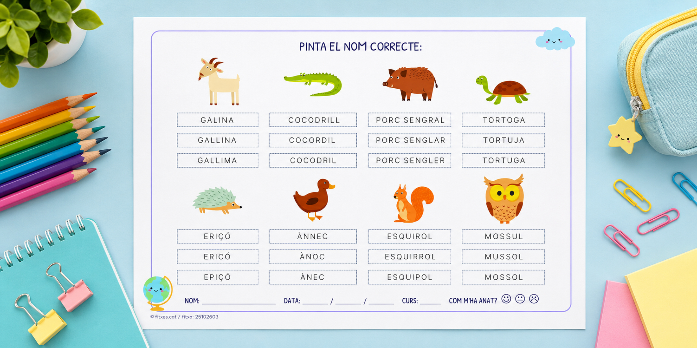 Fitxa per pintar el nom correcte d'animals per a 1r i 2n de Primària en català.