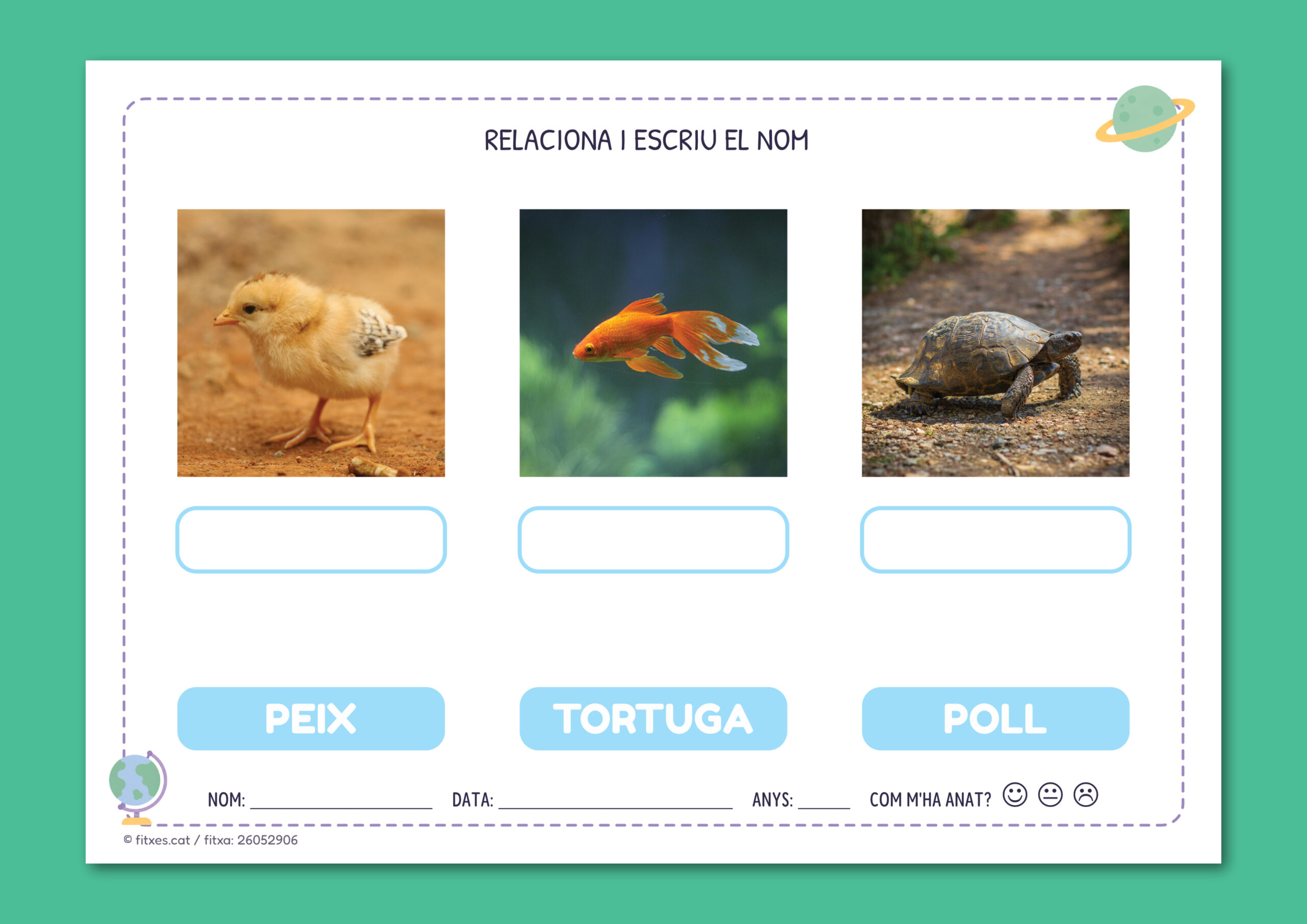 Activitat imprimible per relacionar fotos i escriure el nom per a I4 i I5 en català.
