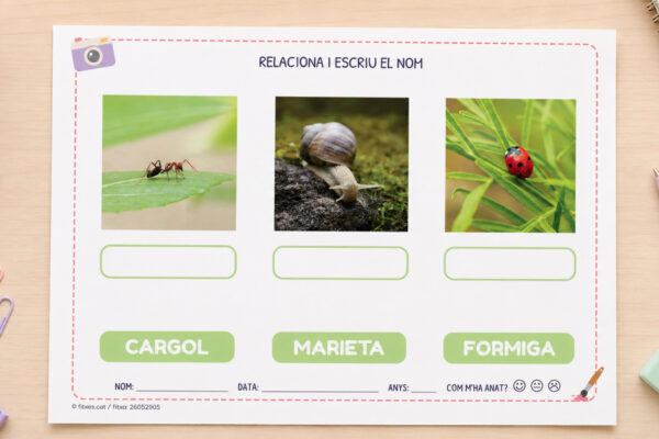 Fitxa per relacionar imatges reals i escriure el nom per a I4 i I5 en català.