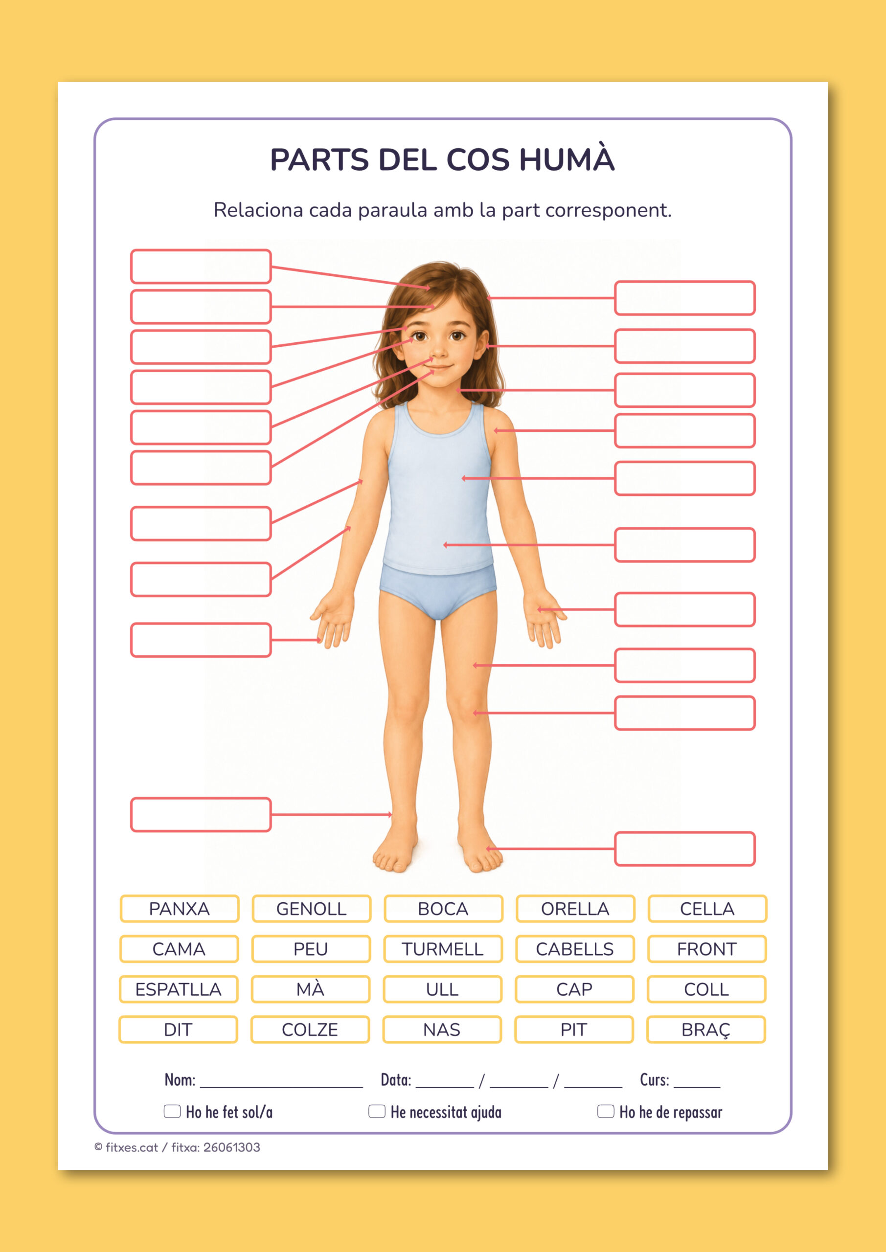 Activitat imprimible per relacionar les parts del cos humà amb el seu nom per a 3r i 4t de Primària en català.