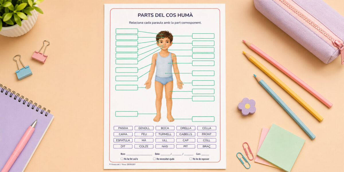 Fitxa per identificar les parts del cos humà per a 3r i 4t de Primària en català.