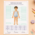 Fitxa per identificar les parts del cos humà per a 3r i 4t de Primària en català.