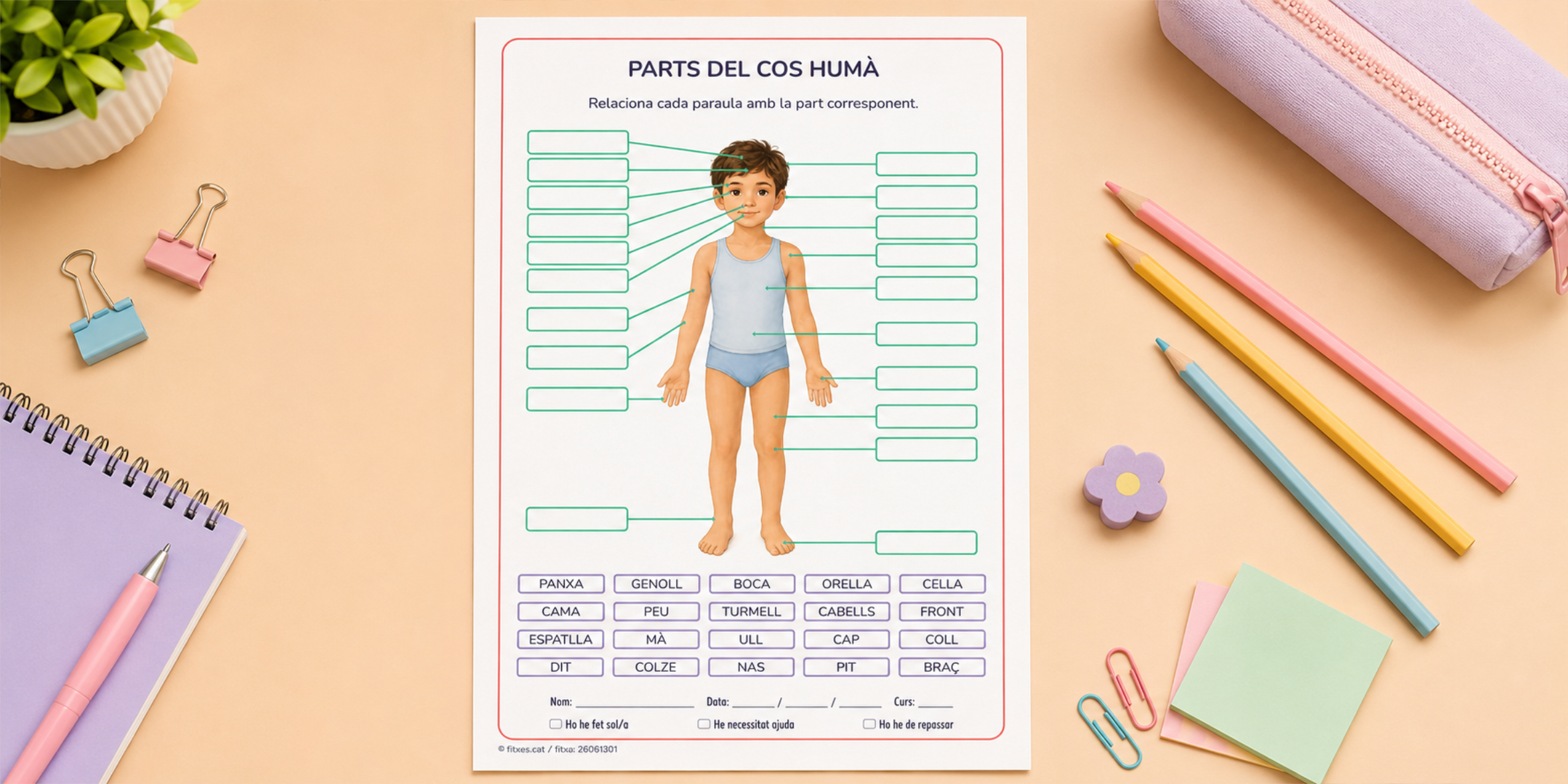 Fitxa per identificar les parts del cos humà per a 3r i 4t de Primària en català.
