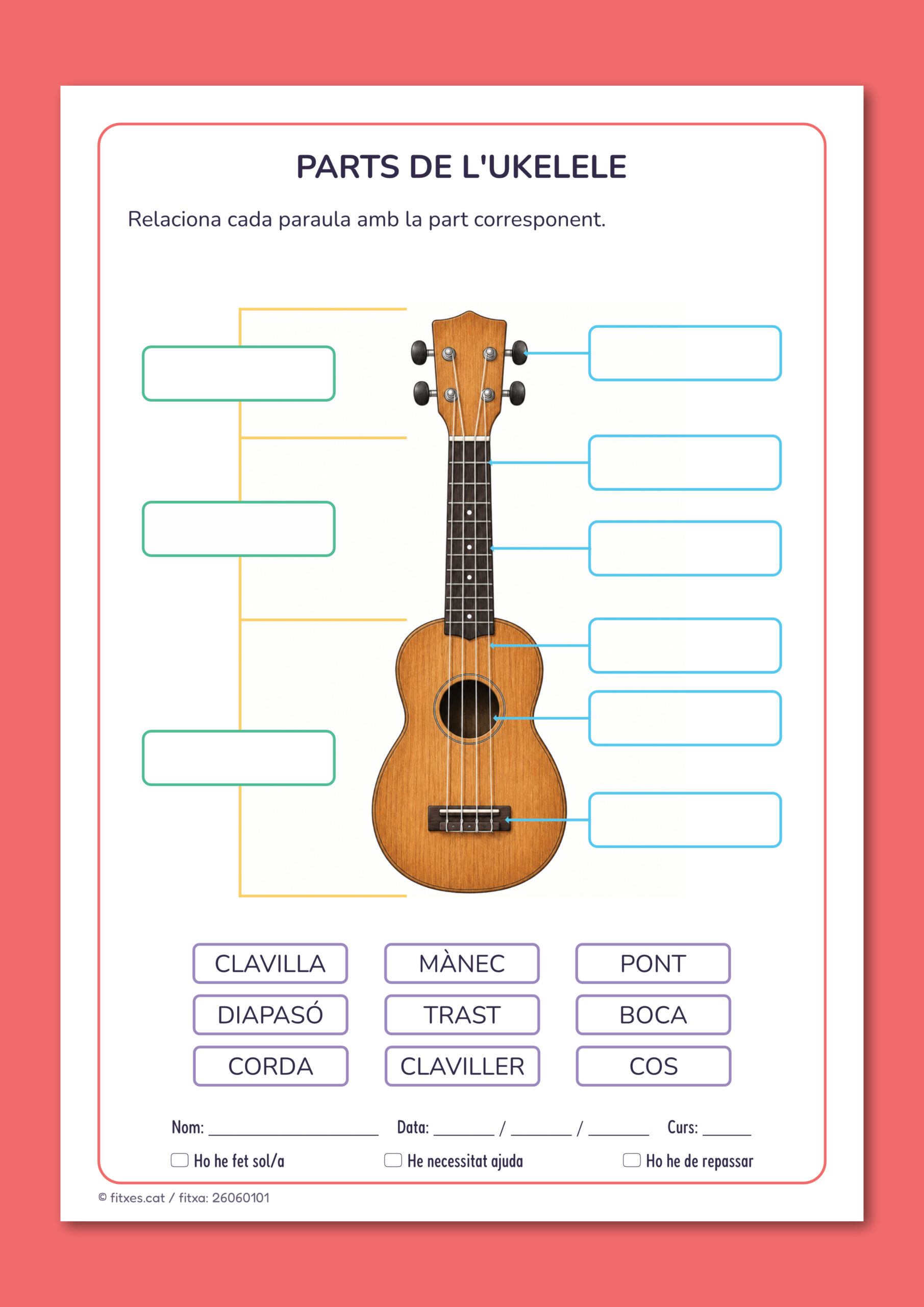 Activitat imprimible per relacionar les parts de l'ukelele amb el seu nom per a 3r de Primària en català.