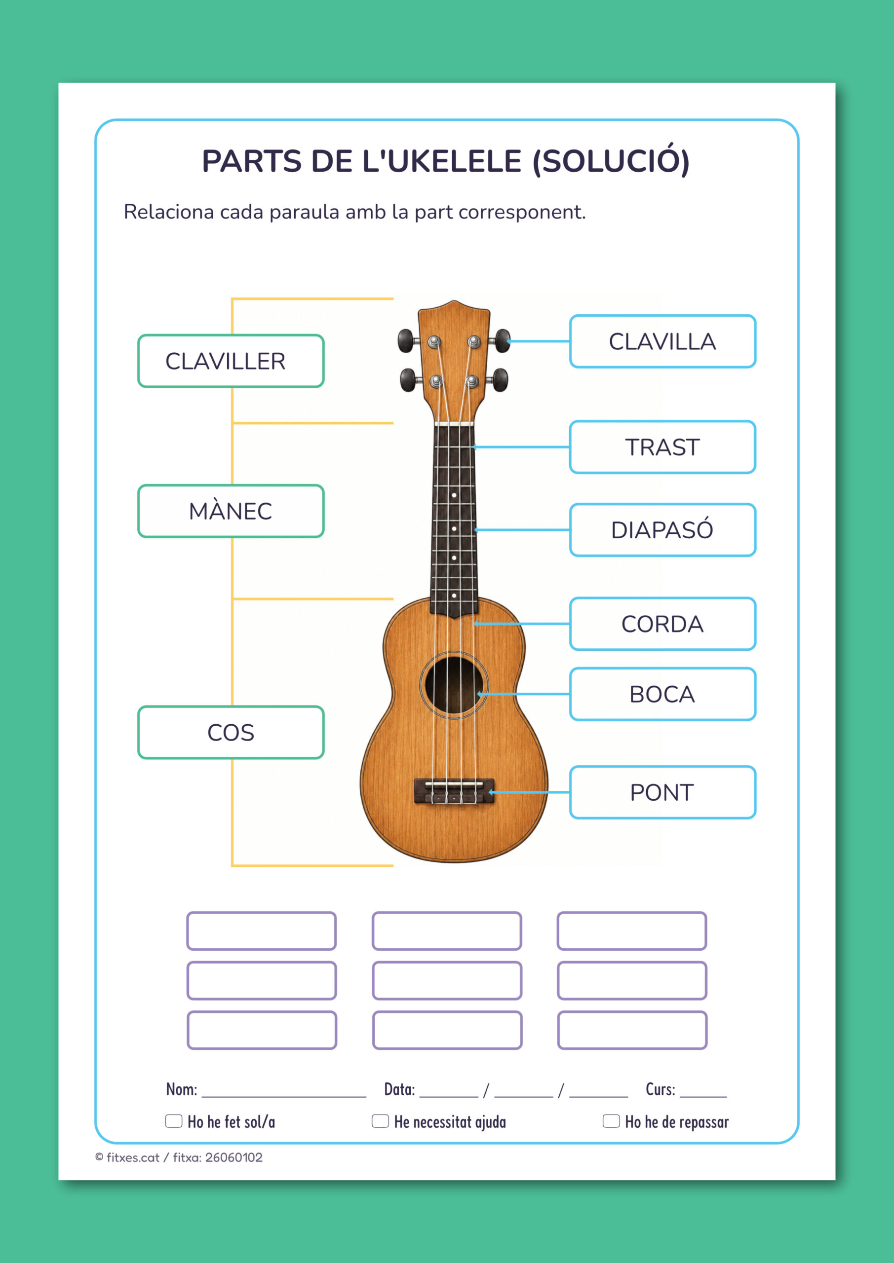 Solució de l'activitat per identificar les parts de l'ukelele per a 3r de Primària en català.