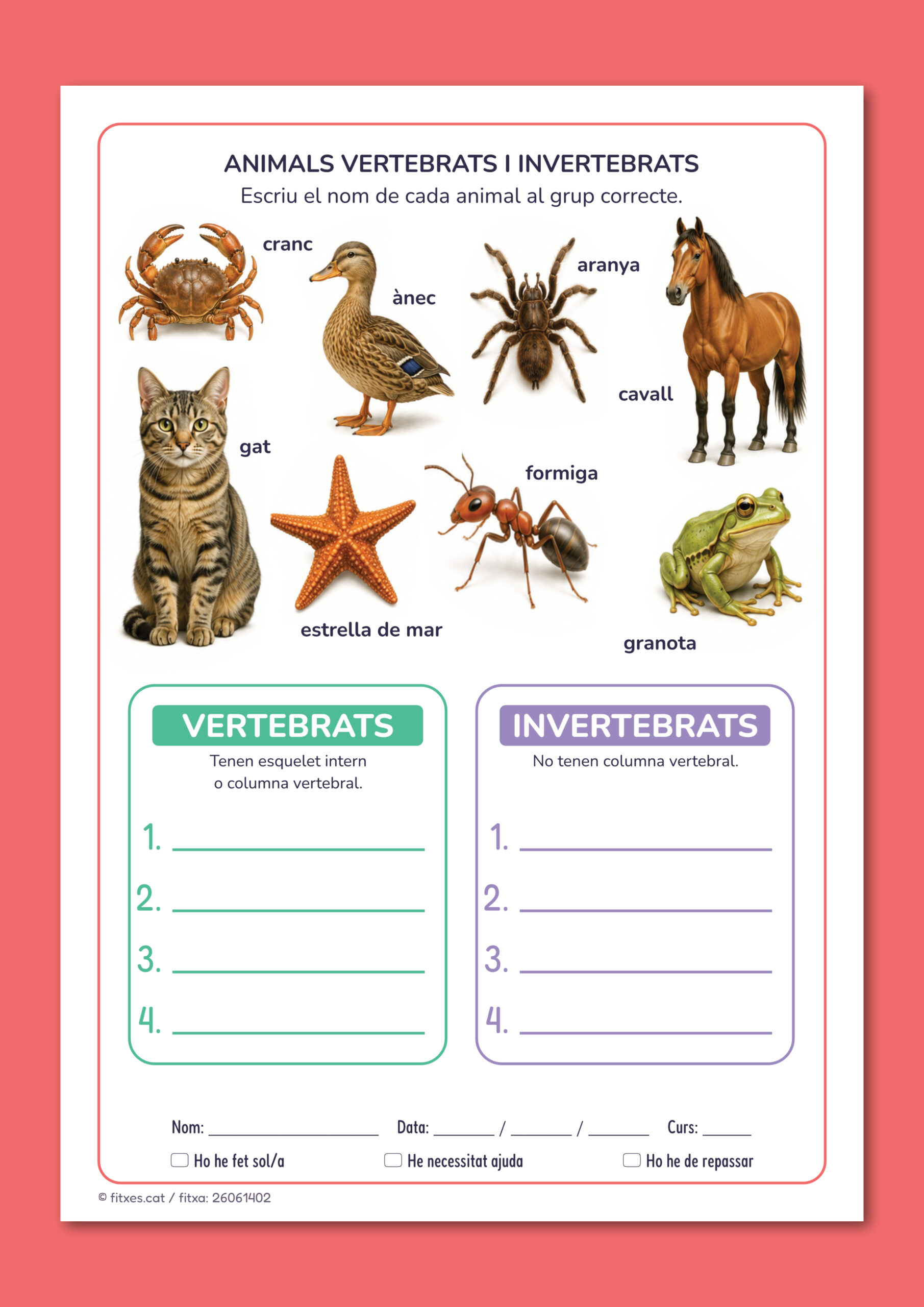 Activitat imprimible per classificar animals vertebrats i invertebrats per a 3r de Primària en català.