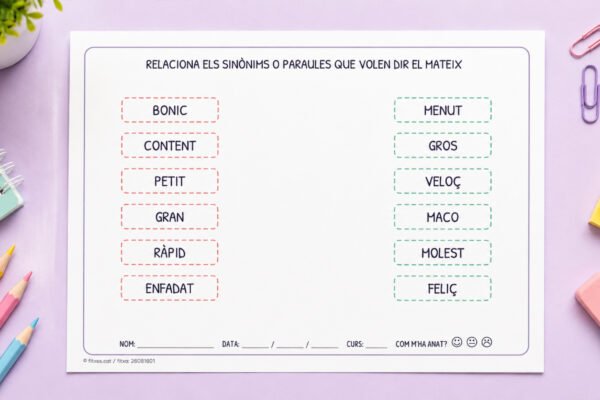 Fitxa per relacionar sinònims i paraules que volen dir el mateix, per a 1r i 2n de Primària en català.