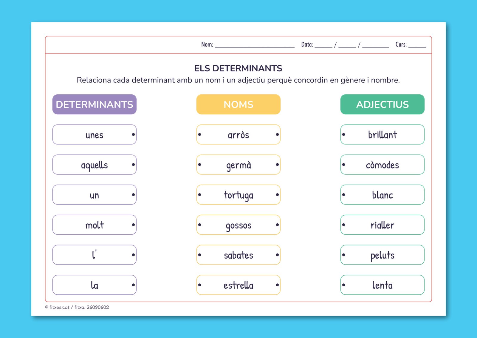 Activitat de gramàtica per unir determinants, noms i adjectius amb concordança correcta, per a 5è de Primària en català.