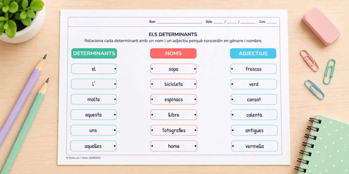 Fitxa per relacionar determinant, nom i adjectiu perquè concordin en gènere i nombre, per a 5è de Primària en català.
