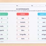 Fitxa per relacionar determinant, nom i adjectiu perquè concordin en gènere i nombre, per a 5è de Primària en català.