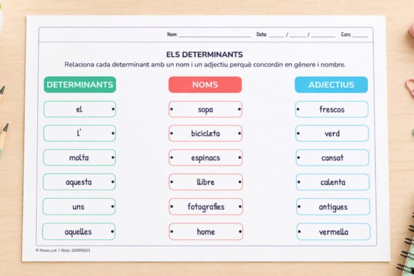 Fitxa per relacionar determinant, nom i adjectiu perquè concordin en gènere i nombre, per a 5è de Primària en català.