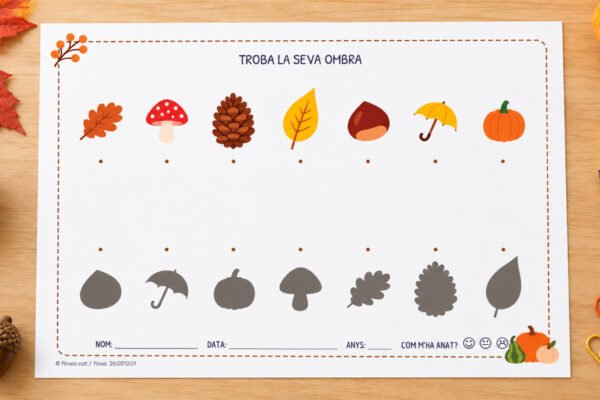 Fitxa per relacionar elements de tardor amb la seva ombra, per a I3, I4 i I5 en català.