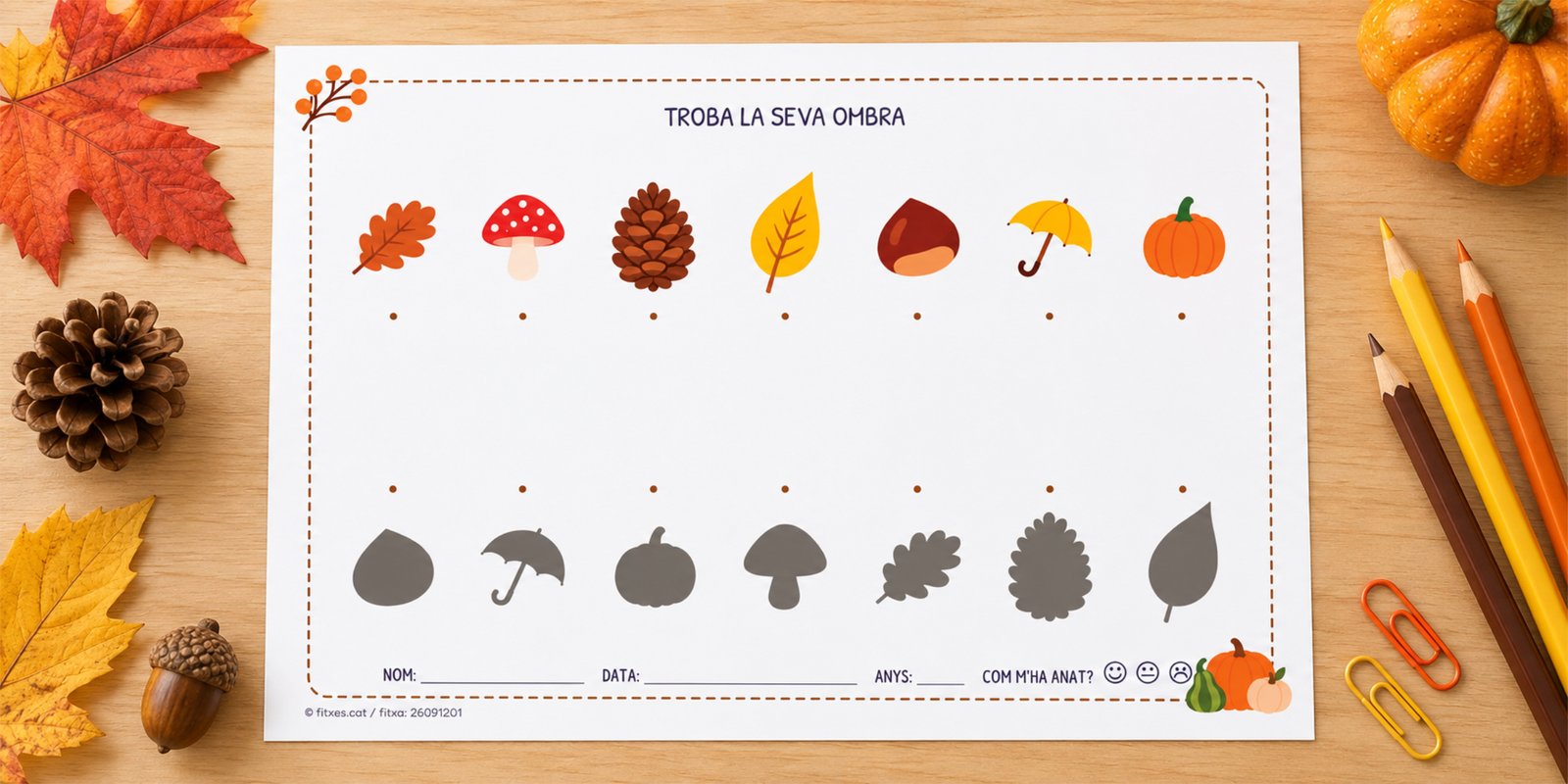 Fitxa per relacionar elements de tardor amb la seva ombra, per a I3, I4 i I5 en català.